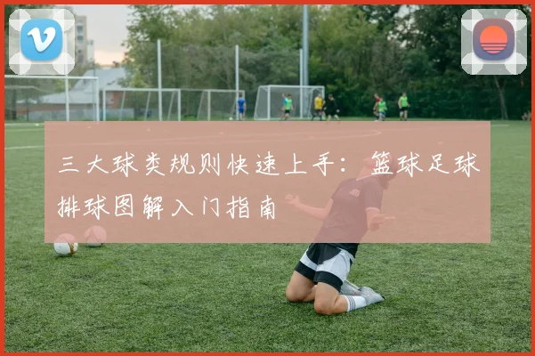三大球类规则快速上手：篮球足球排球图解入门指南