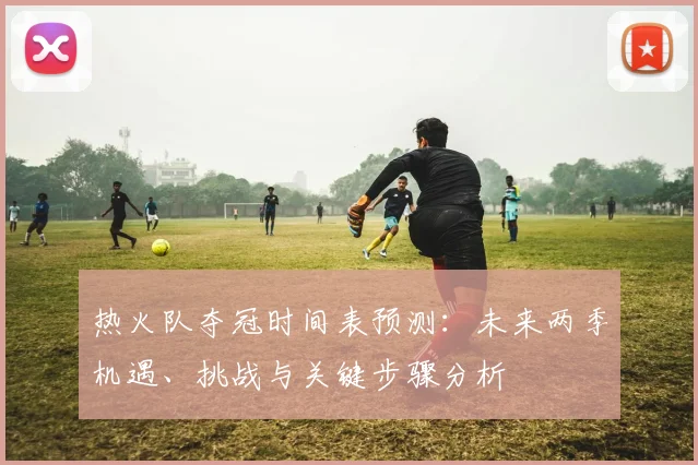 热火队夺冠时间表预测：未来两季机遇、挑战与关键步骤分析